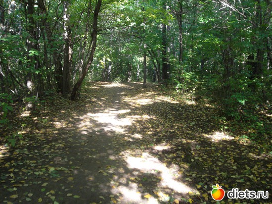 4 ����: ������ 2011