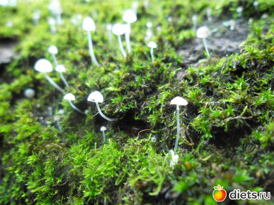 7 ����: ������ 2011