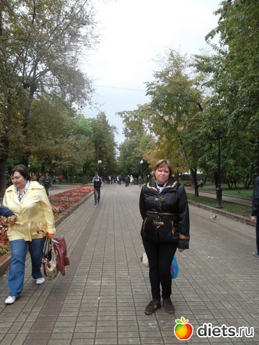 ������ �� ���������, ������: ������ 2011