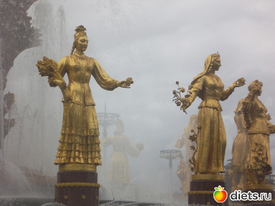 29 ����: ������ 2011