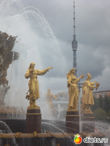 31 ����: ������ 2011