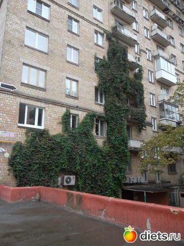 39 ����: ������ 2011