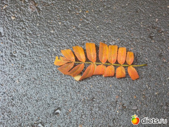 40 ����: ������ 2011