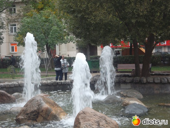 43 ����: ������ 2011