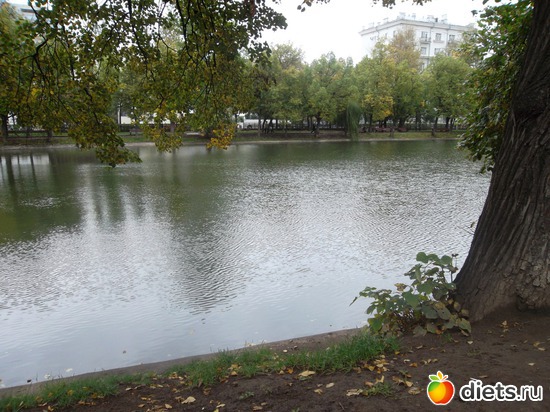 49 ����: ������ 2011