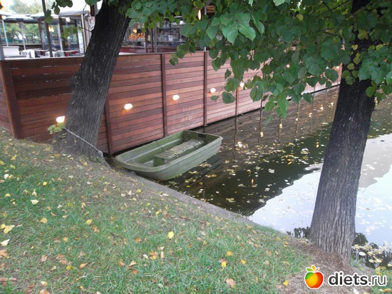 54 ����: ������ 2011