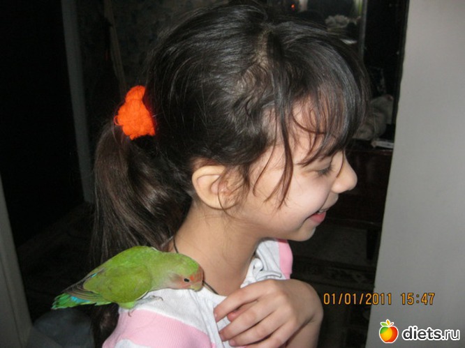 5 ����: ��� �����