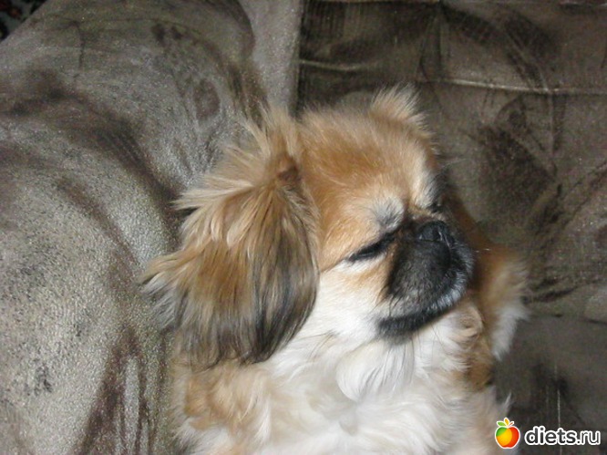 10 ����: ��� �����