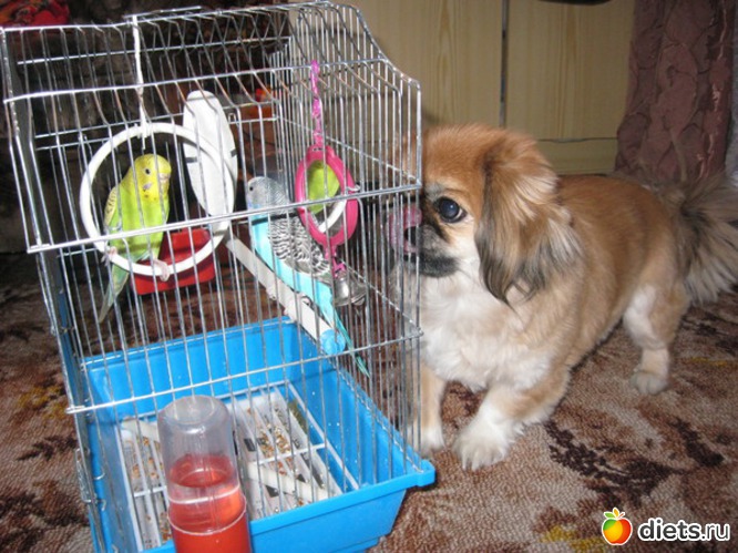 11 ����: ��� �����