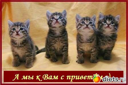 ���� ������