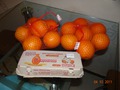 Апельсиновояичный разгруз, 3 дня по 5 шт. апельсинов и белков