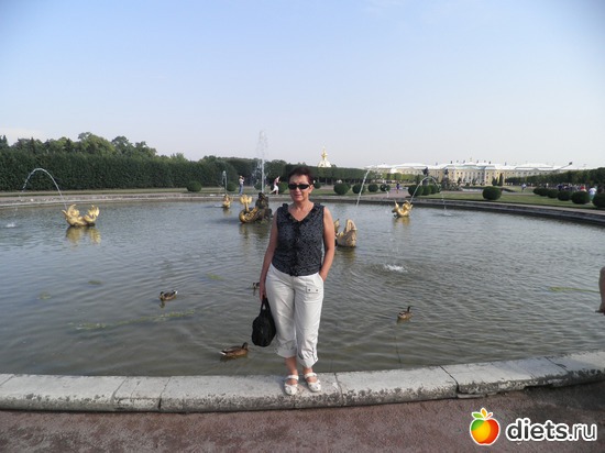 1 ����: �����������.