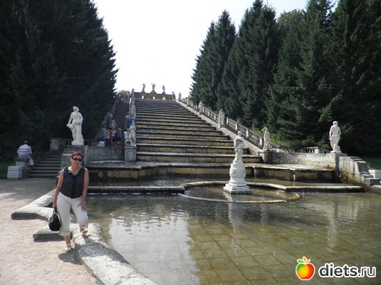 5 ����: �����������.