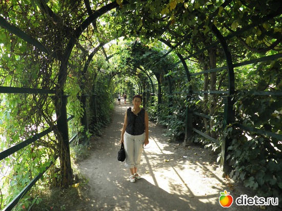 6 ����: �����������.