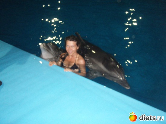 ��� ������� ���� � ���������� � �����������, ������: ������ 2011���. �.����