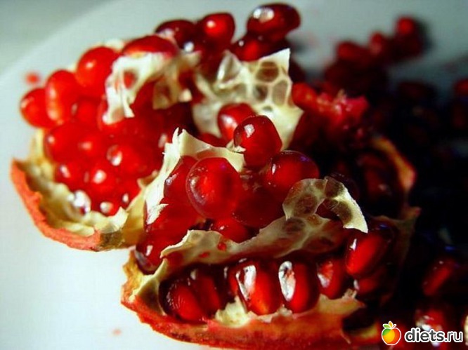 26 ����: ����������