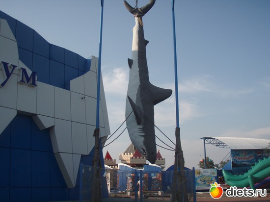 10 ����: ������ 2011���. �.����