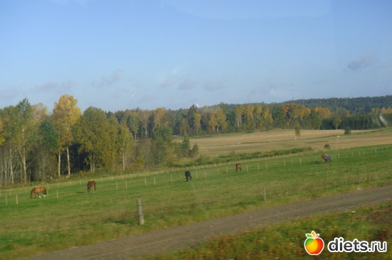 ���� �� ���� �� ������ � ���������, ������: ������