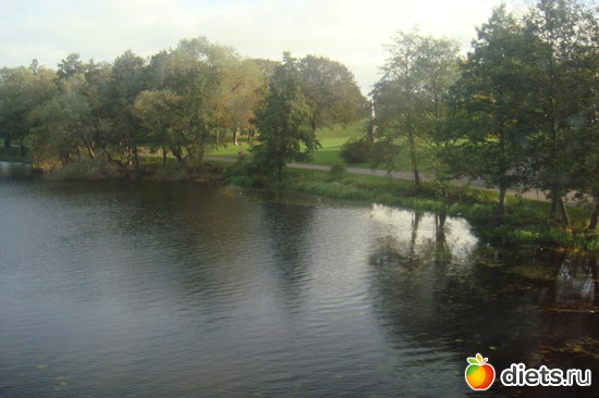 � ���� ������ ����� ����� ����, ������: ������