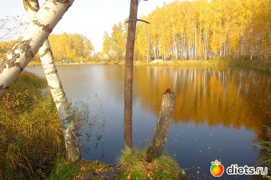 2 ����: ������������ ���� ������� ������