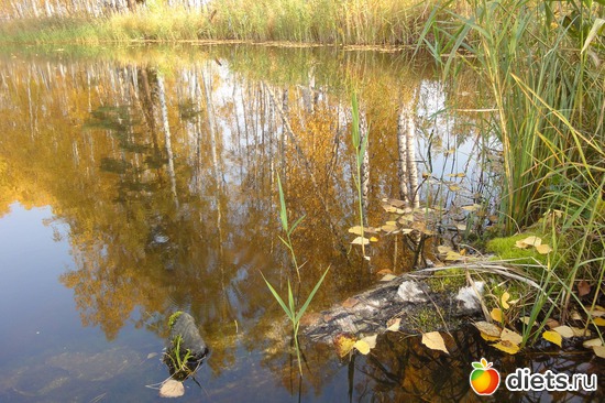 ���������..., ������: ������������ ���� ������� ������