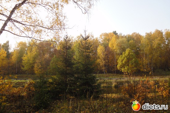 "�������", ������: ������������ ���� ������� ������