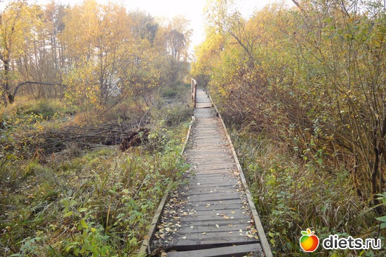 ������, ������: ������������ ���� ������� ������