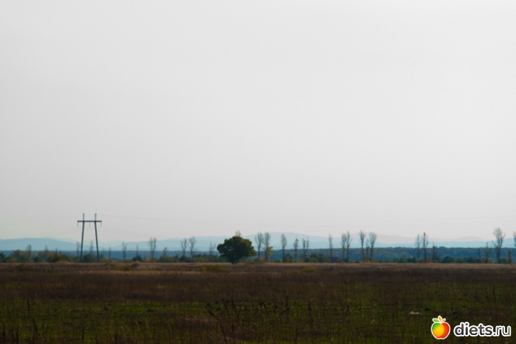 1 ����: �������������