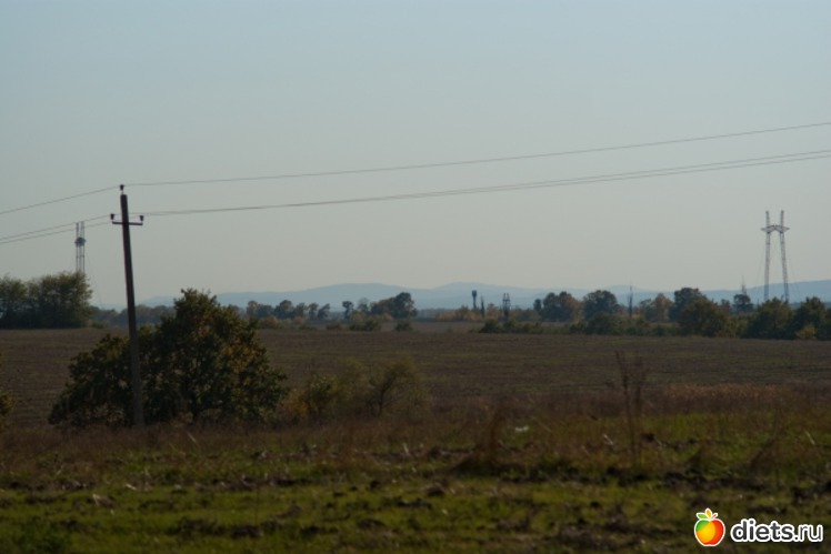 3 ����: �������������