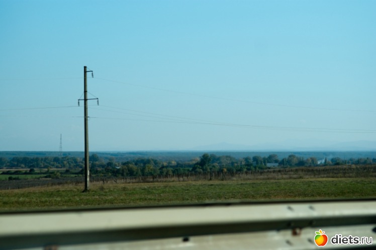 9 ����: �������������