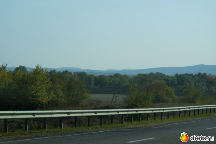 10 ����: �������������