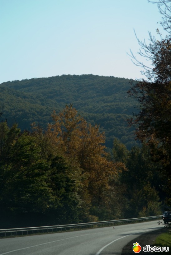 12 ����: �������������