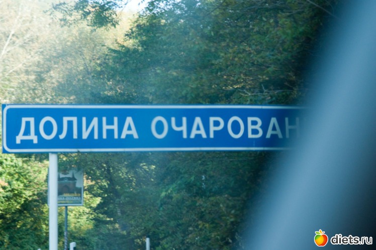 13 ����: �������������