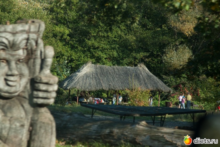 14 ����: �������������