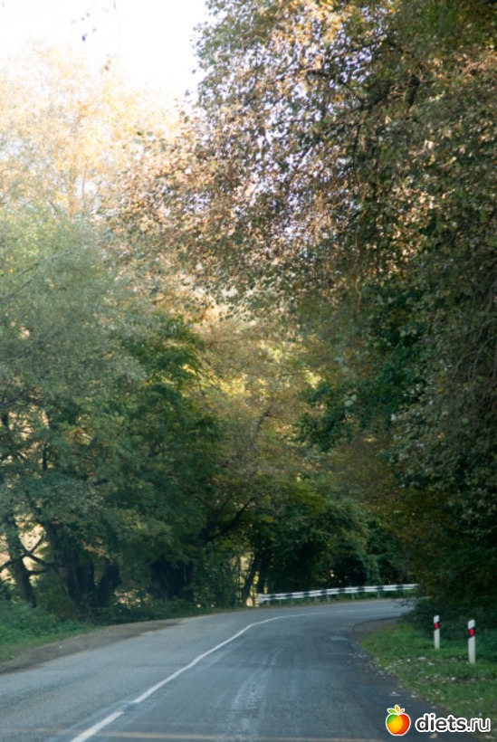 15 ����: �������������