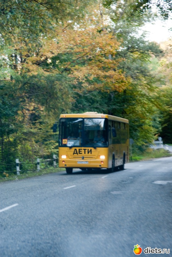 16 ����: �������������