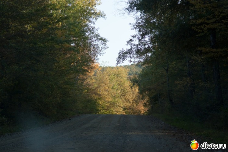 17 ����: �������������