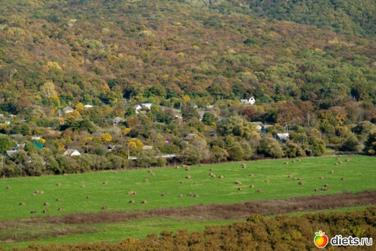 20 ����: �������������