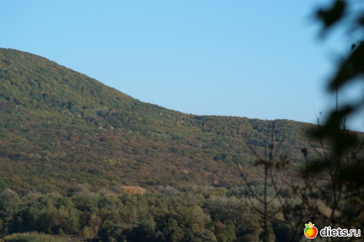 21 ����: �������������