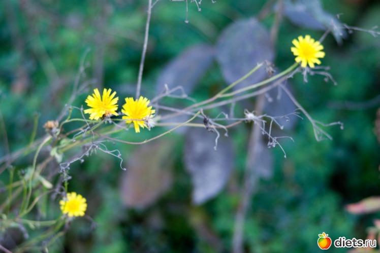 22 ����: �������������