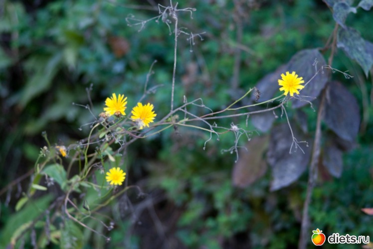 23 ����: �������������