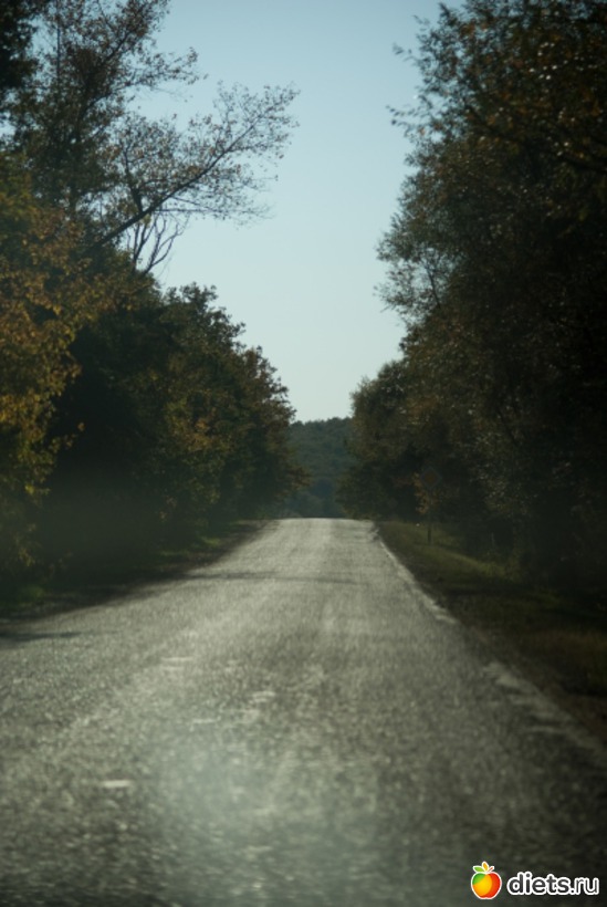 24 ����: �������������