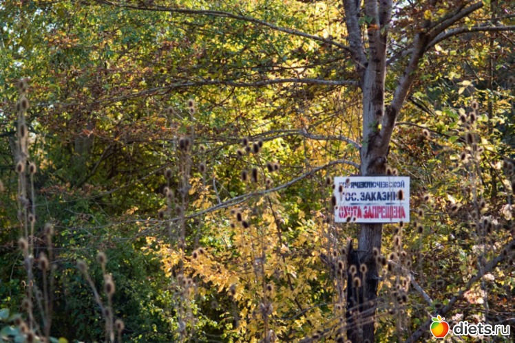 25 ����: �������������