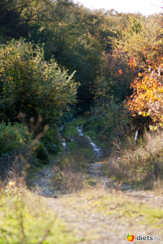 27 ����: �������������