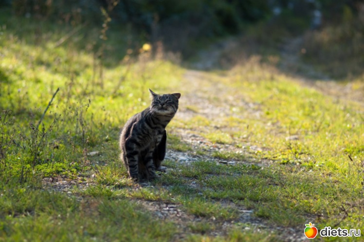 31 ����: �������������