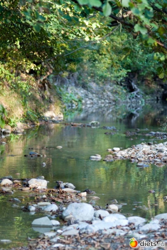 35 ����: �������������