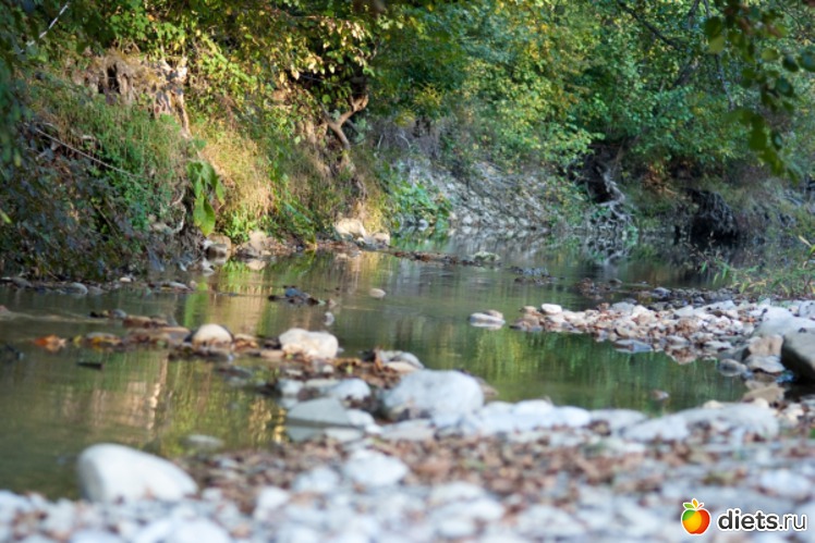 36 ����: �������������