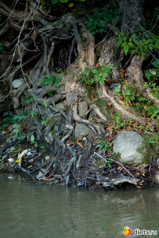 37 ����: �������������