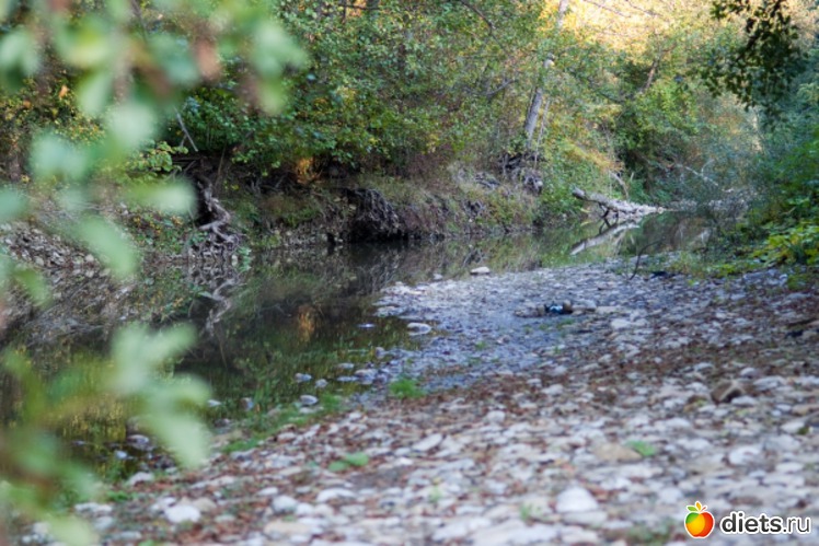 38 ����: �������������