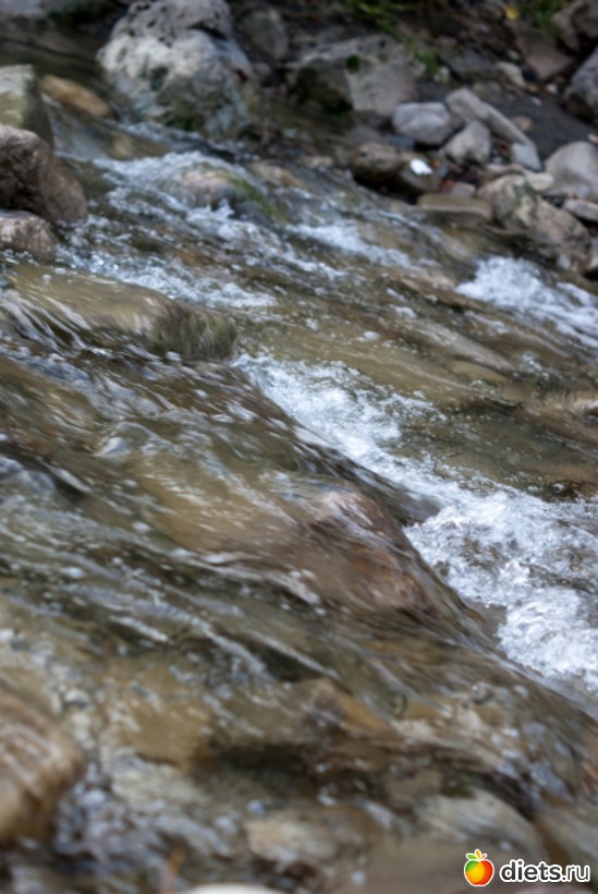 45 ����: �������������